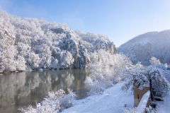 Winter-2